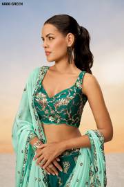 PF   6006 COLOUR’S